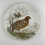Vintage Johnson Brothers Game Birds Dinner Plates, Set of 7, England 1953-1976s