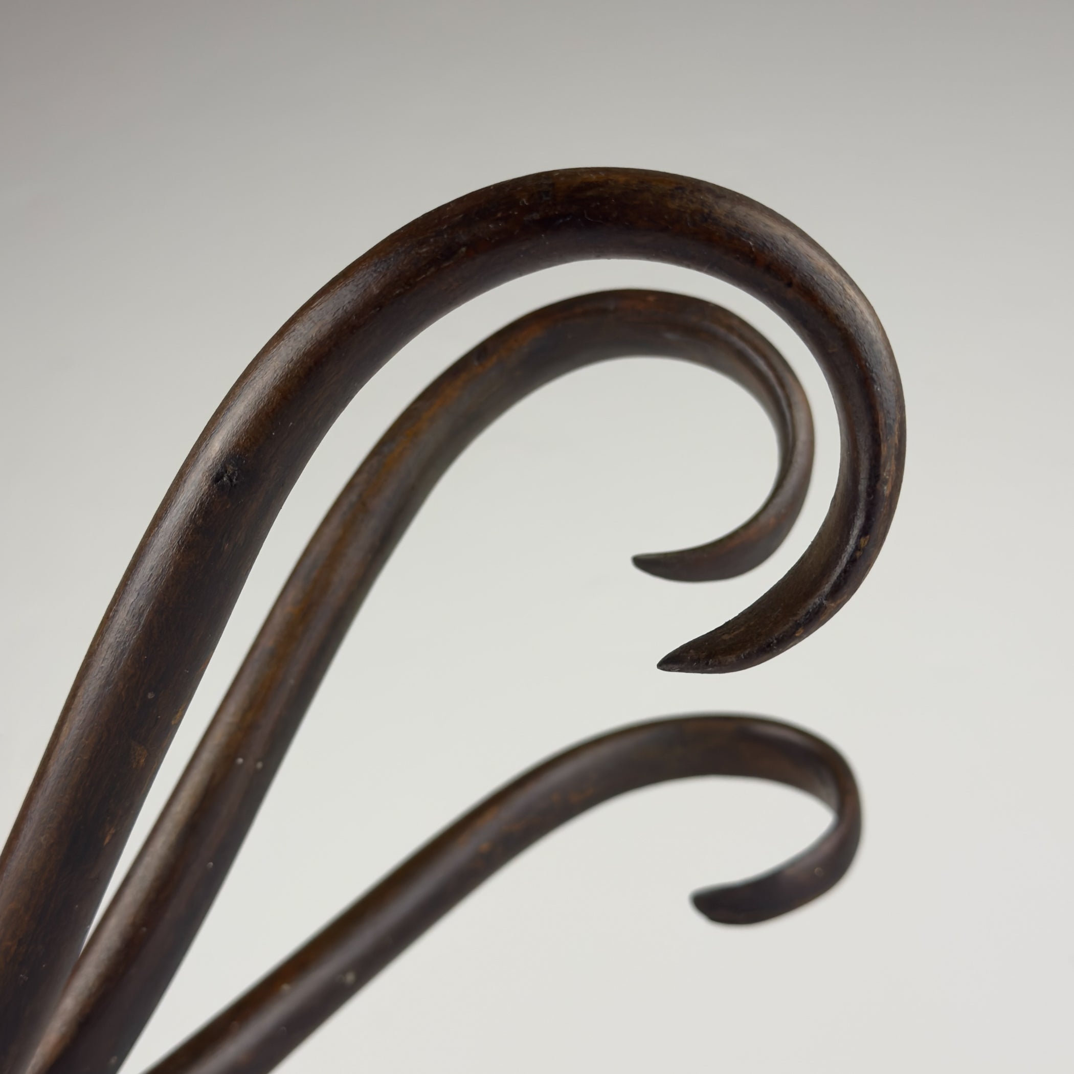 Antique Bentwood Wall Coat Rack by Thonet, Austria, 1920s