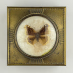 Vintage jewelry box by Dralle, Germany 1930s