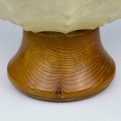 Mid-century table lamp Cocoon, Italy 1960s