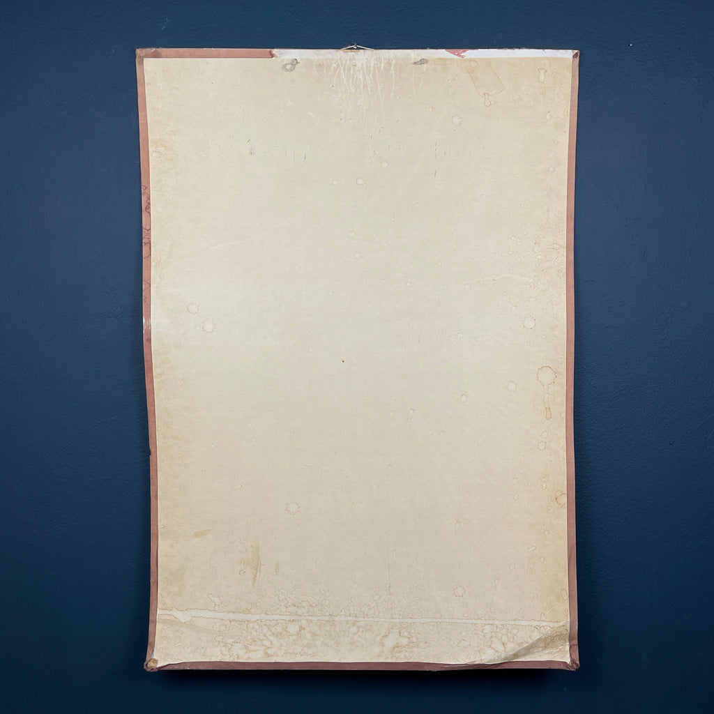 Vintage school  poster The human nervous system Yugoslavia 1966 Educational wall board