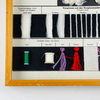 Vintage school education display Die Baumwolle (Cotton) by Josef Galler, Germany 1960s