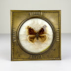 Vintage jewelry box by Dralle, Germany 1930s