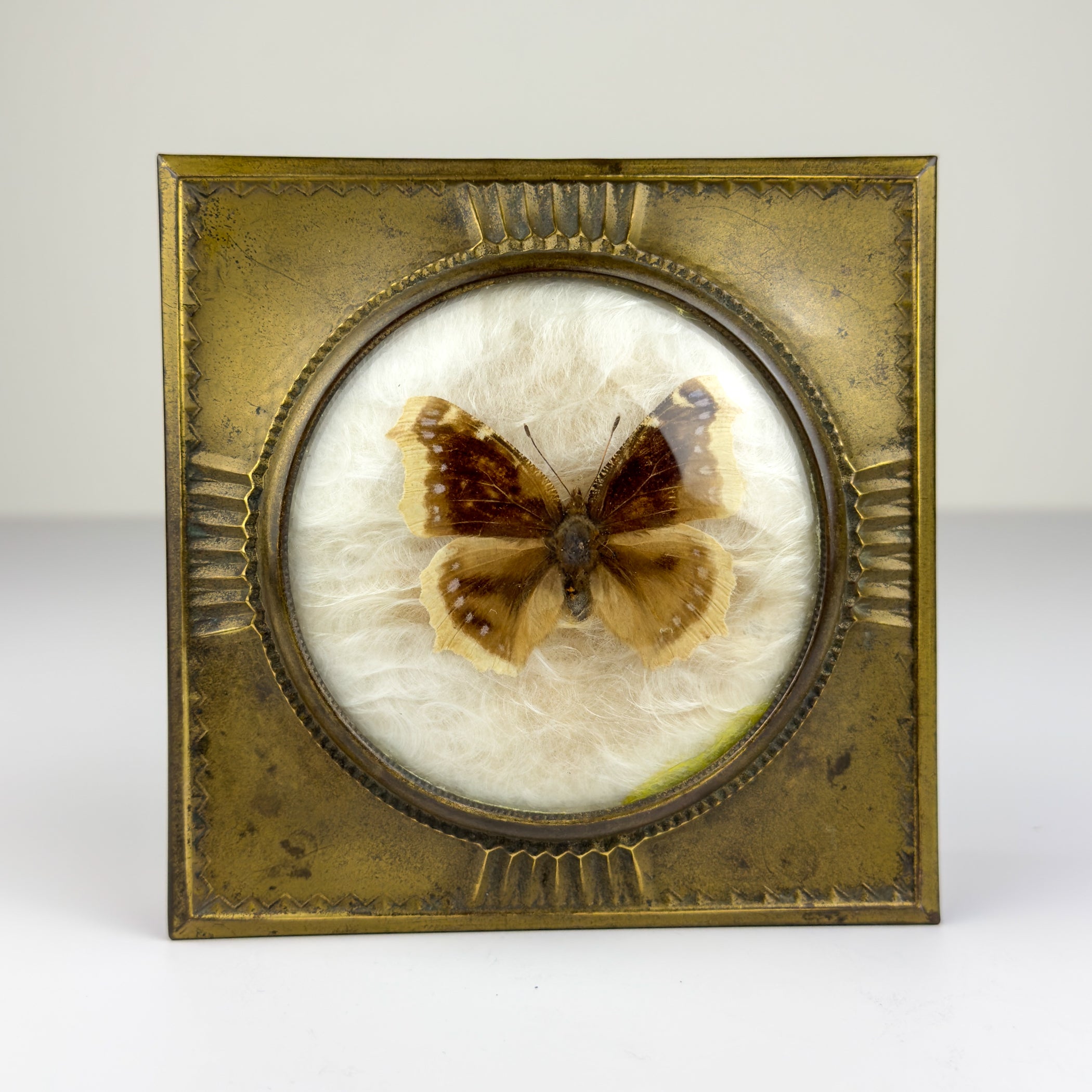 Vintage jewelry box by Dralle, Germany 1930s