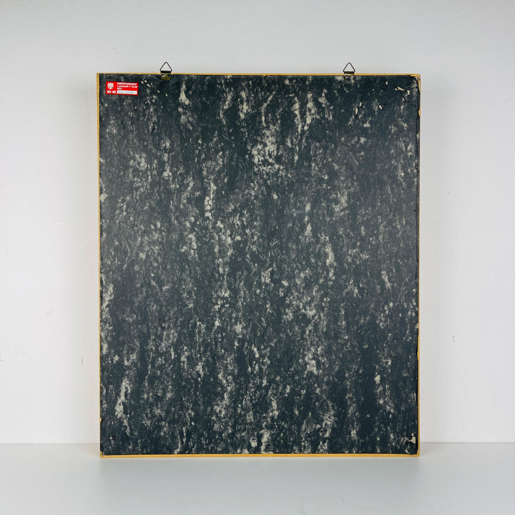Vintage school education display Die Baumwolle (Cotton) by Josef Galler, Germany 1960s