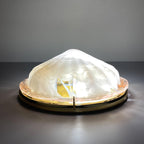 Vintage murano ceiling lamp by "La Murrina", Italy 1980s MCM unique Italian lighting