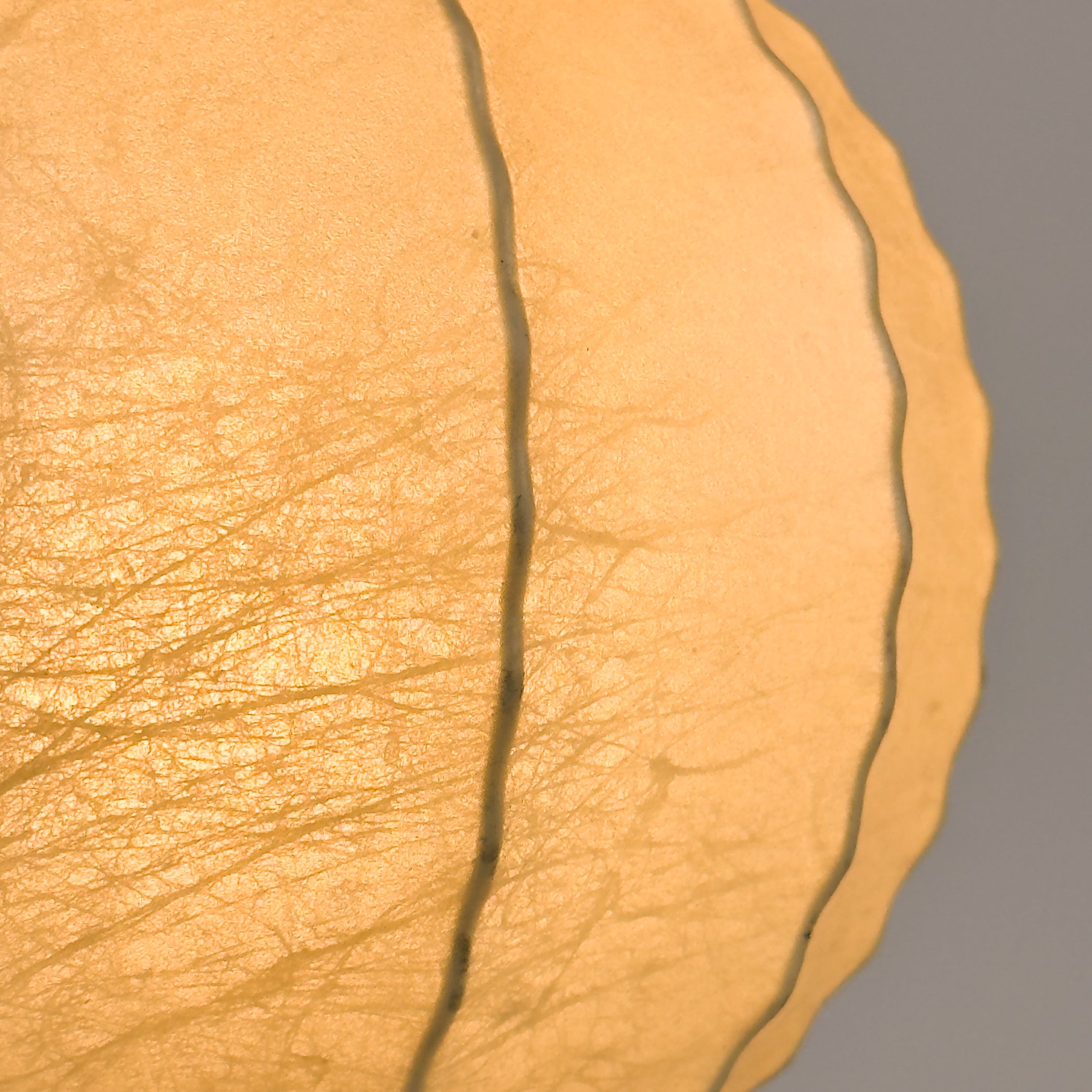 Mid-century table lamp Cocoon, Italy 1960s