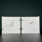 Art Deco Murano Glass Wall Sconces by De Majo, 1970s - Set of 2