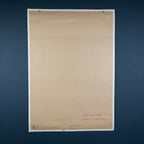 Vintage school botanical poster Austria 1950s Educational wall board