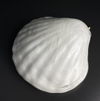 Vintage murano wall lamp Seashell by "La Murrina" Italy 1980s MCM unique Italian lighting