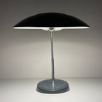 Mid-century grey desk lamp USSR 1972 Vintage gooseneck lamp
