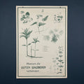 Vintage school botanical poster Austria 1950s Educational wall board