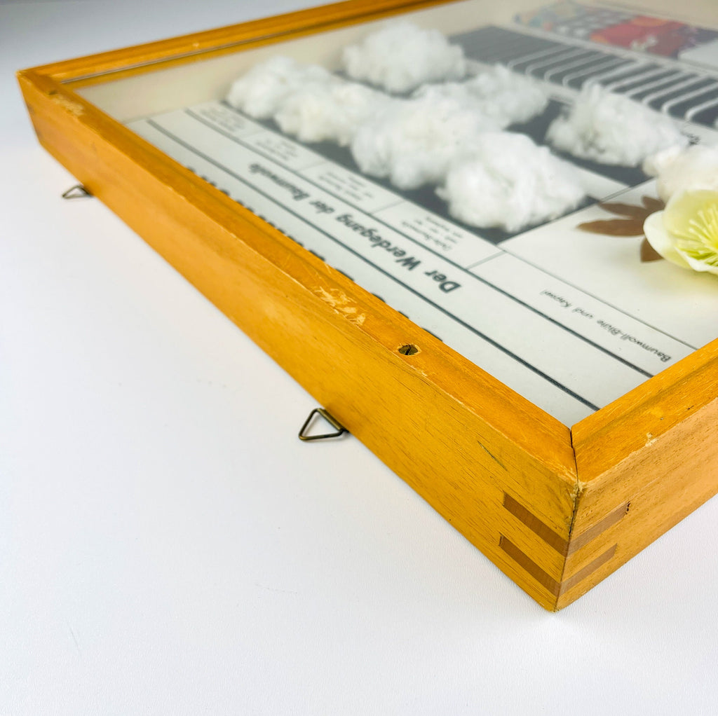 Vintage school education display Die Baumwolle (Cotton) by Josef Galler, Germany 1960s