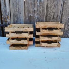Mango wood trays
