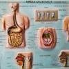 Medical tables