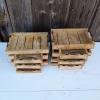 Mango wood trays