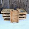 Mango wood trays