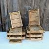 Mango wood trays